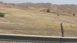 راهیان نور