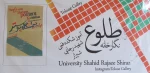اولین نمایشگاه پوستر