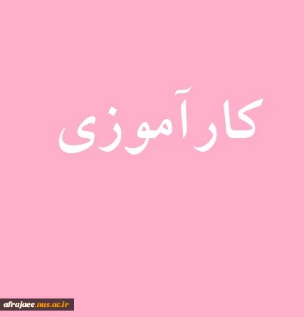 کارآموزی 2