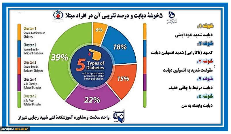 پنج خوشۀ دیابت و درصد تقریبی آن در افراد مبتلا 2