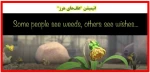 انیمیشن علف‌ها 2
