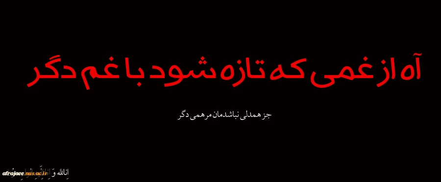 تسلیت از دست رفتن هموطنان عزیز در سقوط هواپیمای اکراینی 3