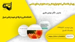 وبینار نحوه پژوهش 2