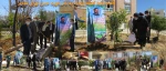 هفته درختکاری و منابع طبیعی 3
