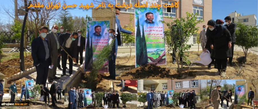 هفته درختکاری و منابع طبیعی 3