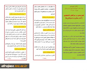 اخلاق شهروندی