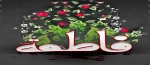 شهادت حضرت فاطمه زهرا سلام الله علیها 2